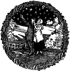 Z11 COPY.GIF (44185 bytes)