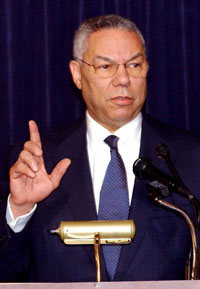 PAUELS.JPG (19778 bytes)