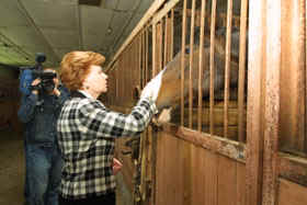 VIKE4.JPG (34566 bytes)