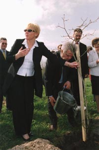 TIKS04.JPG (17301 bytes)