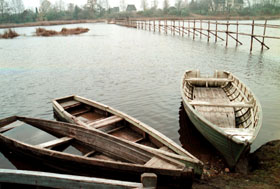 SALACA.JPG (23675 bytes)