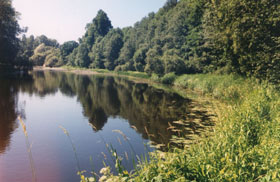 SALACA-PULKSTEN.JPG (26132 bytes)