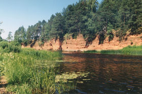 SALACA-SARKANKLINTS.JPG (25786 bytes)