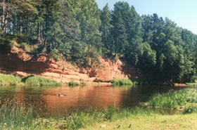 SALACA-SARKANS.JPG (26565 bytes)