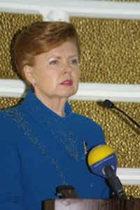 VIKE3.JPG (31598 bytes)