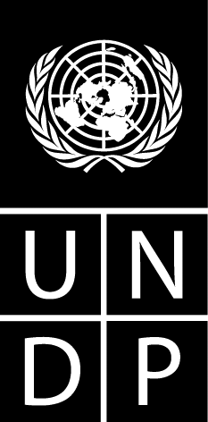 UNDP COPY.GIF (10575 bytes)