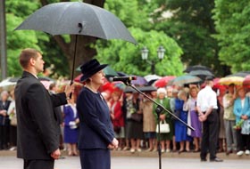 VIKE3.JPG (21926 bytes)