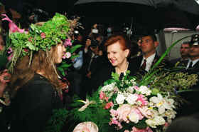 VV3.JPG (88007 bytes)