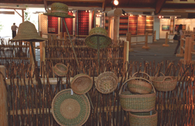 KIP06.JPG (71825 bytes)