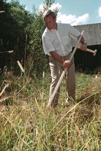 GULBIS.JPG (31974 bytes)