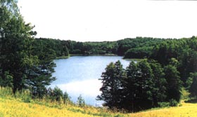 PILS2.JPG (16420 bytes)