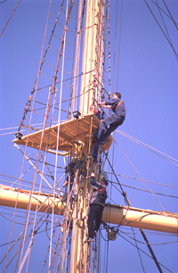 14.JPG (86991 bytes)