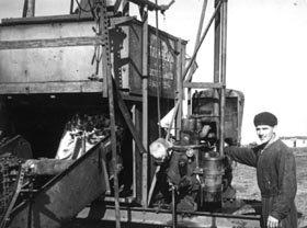 LUCANS2.JPG (19945 bytes)