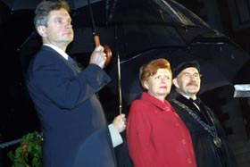 VIKE09.JPG (17456 bytes)