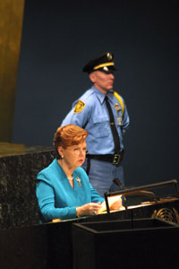 VIKE2.JPG (23524 bytes)