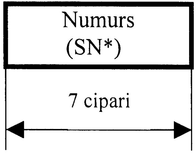 03-SARK COPY.GIF (17660 bytes)