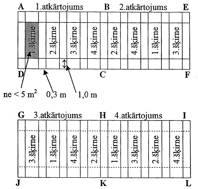 ZIM-11 COPY.GIF (89630 bytes)