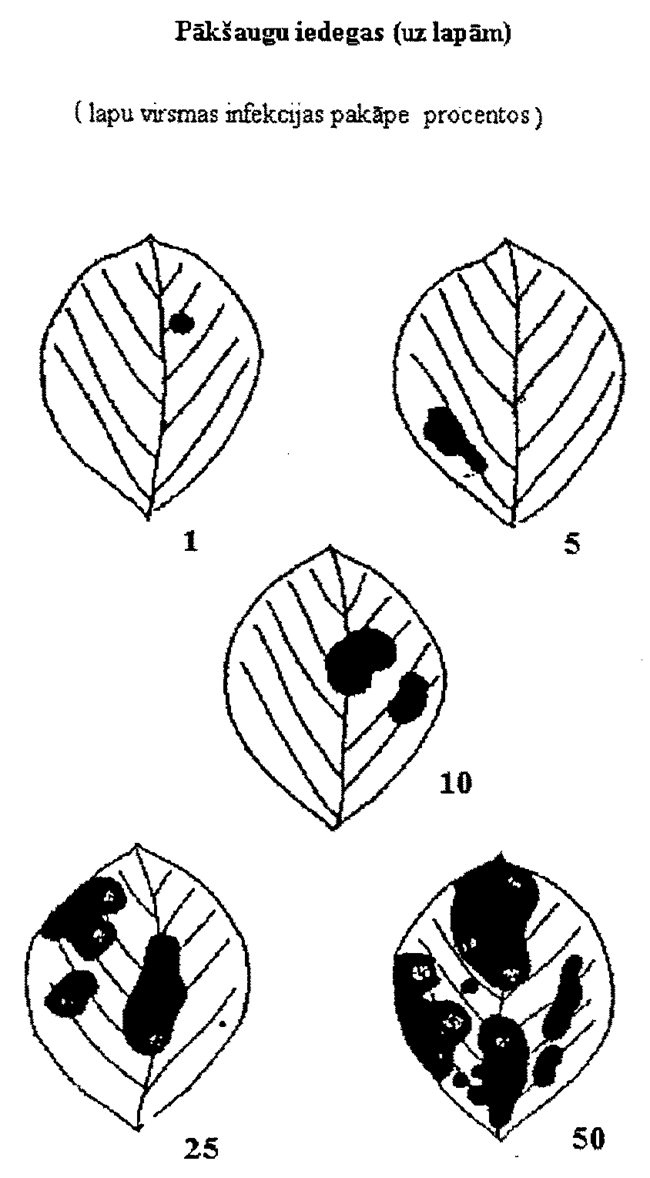 02-12 COPY.GIF (80739 bytes)