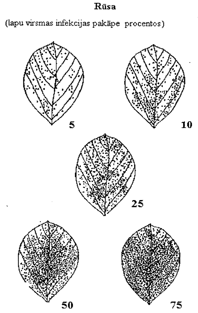 04-12 COPY.GIF (140675 bytes)