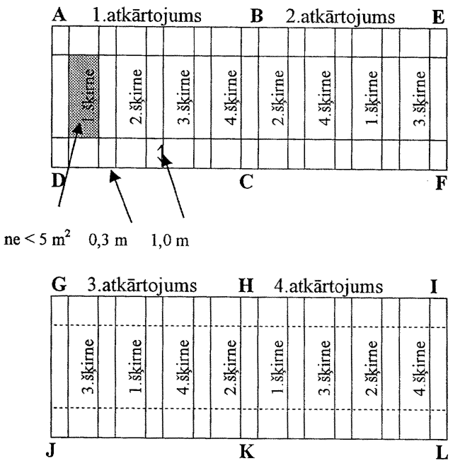 ZIM-12 COPY.GIF (89488 bytes)