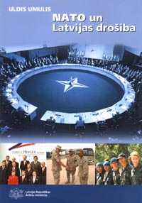 N06.JPG (26663 bytes)