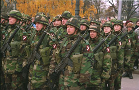 PARADE08.JPG (27197 bytes)