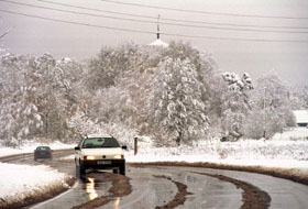 CELS1.JPG (22701 bytes)