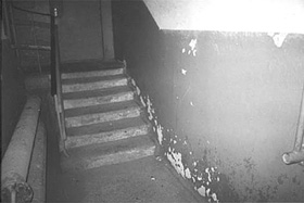 PICTURE19.JPG (18820 bytes)