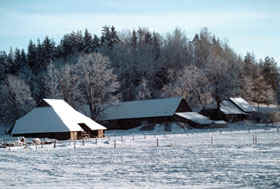 ZIEMA.JPG (29866 bytes)