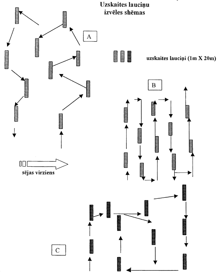 19-4.PNG (67312 bytes)