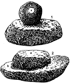 BORUKAM02.PNG (36168 bytes)