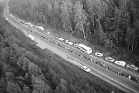 CELS3.PNG (44780 bytes)