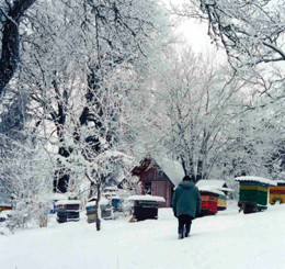 MEDUS002.PNG (138746 bytes)