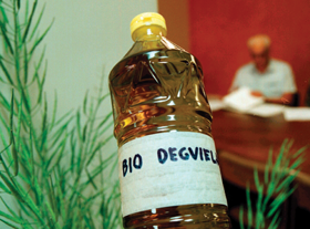 BIO1.PNG (120306 bytes)