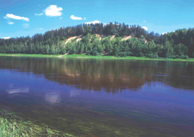 PILS003.PNG (92125 bytes)