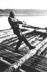 PLOSTI003.PNG (46769 bytes)