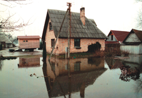 PLUDI.PNG (99891 bytes)