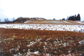 KAUPRE005.PNG (91633 bytes)