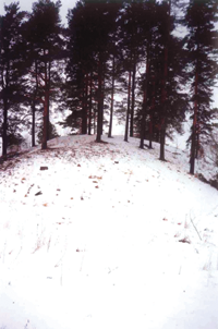 SAUKA001.PNG (93741 bytes)