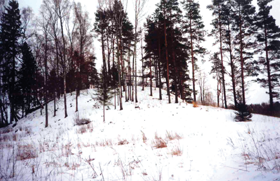 SAUKA002.PNG (114441 bytes)