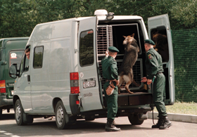 ROBEZA2.PNG (117822 bytes)