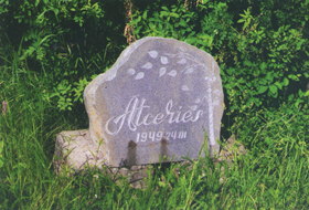 ATCERIES.PNG (127422 bytes)