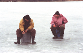 GLABEJI2.PNG (81302 bytes)