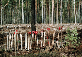 MEZS.PNG (144871 bytes)