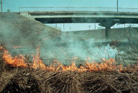 B053/KULA.JPG (22559 bytes)