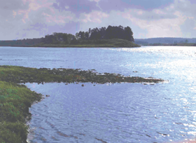 KAUPRE003.PNG (103160 bytes)