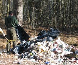 MISKASTE01.PNG (146887 bytes)