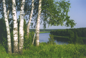 AINAVA02.PNG (122342 bytes)