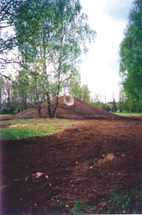 STABURAGS009.PNG (134482 bytes)