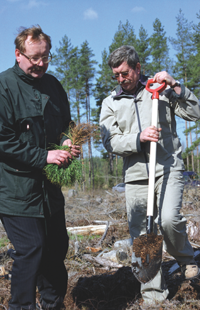 EMSIS.PNG (139096 bytes)